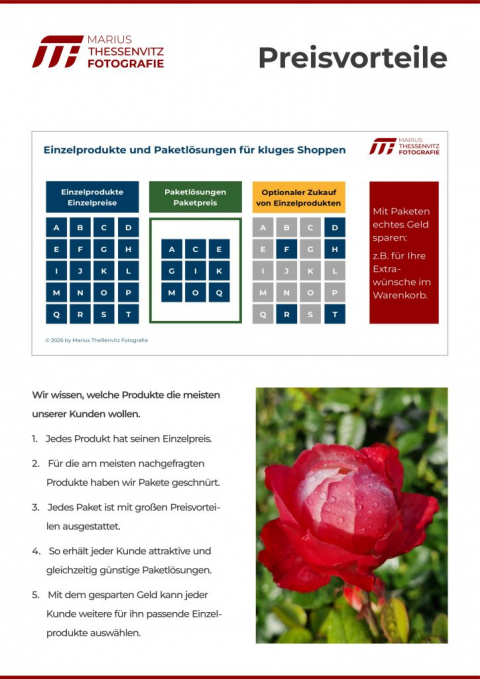 MTF-Broschuere-2026-08-26-v03_019